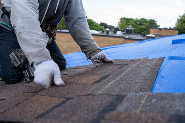 Best Local Roofing Companies  in Chena Ridge, AK