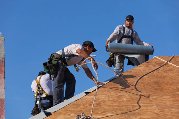 Best Roof Restoration Services  in Chena Ridge, AK
