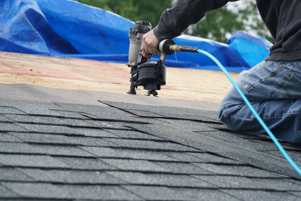 Best Local Roofing Companies  in Chena Ridge, AK