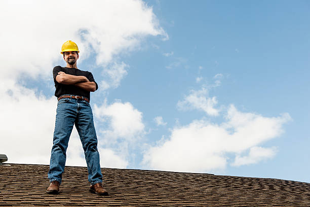 Best Roof Gutter Cleaning  in Chena Ridge, AK