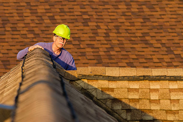 Best Best Roofing Contractors  in Chena Ridge, AK
