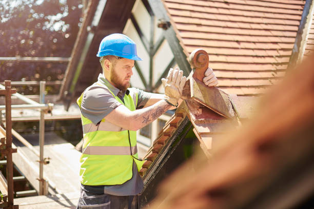 Best Storm Damage Roof Repair  in Chena Ridge, AK