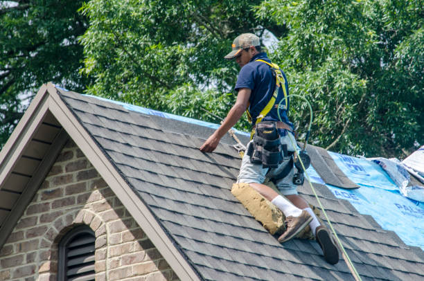Best Storm Damage Roof Repair  in Chena Ridge, AK
